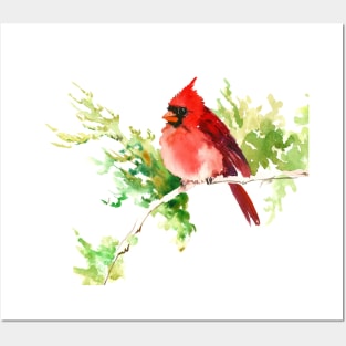 Cardinal Bird Posters and Art